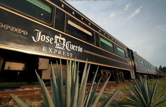 Train to Tequila Jose Cuervo Express tickets From Guadalajara to Jose Cuervo with open bar all you can drink