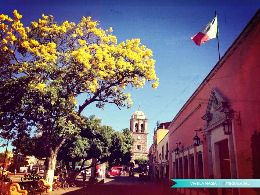 La Posta Restaurant in Tequila Jalisco Mexico