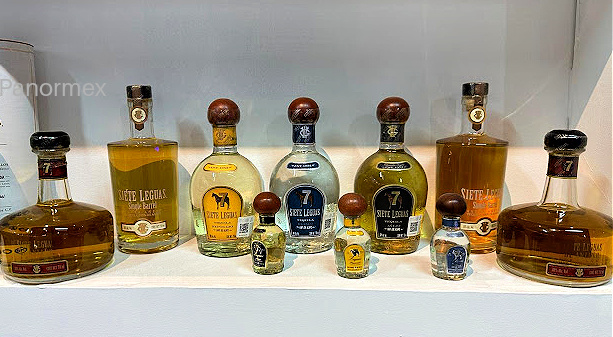 Tequila 7 Leguas to buy while in Mexico