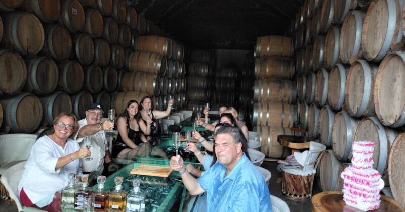 Is It Worth Visiting Tequila on a Tour or on Your Own? The Truth No One Tells You