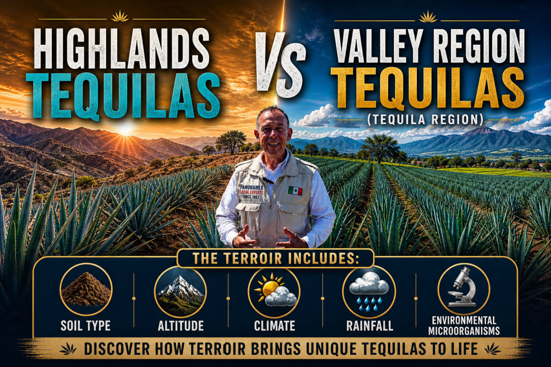 Tequila from the highlands VS tequilas from the Lowlands of Jalisco Mexico