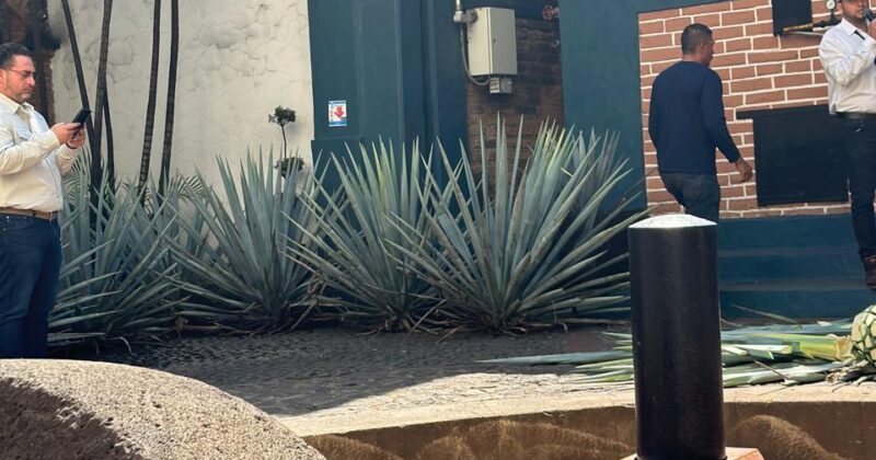 The 15 Most Renowned Artisanal Tequilas from Mexico: 2026 Guide