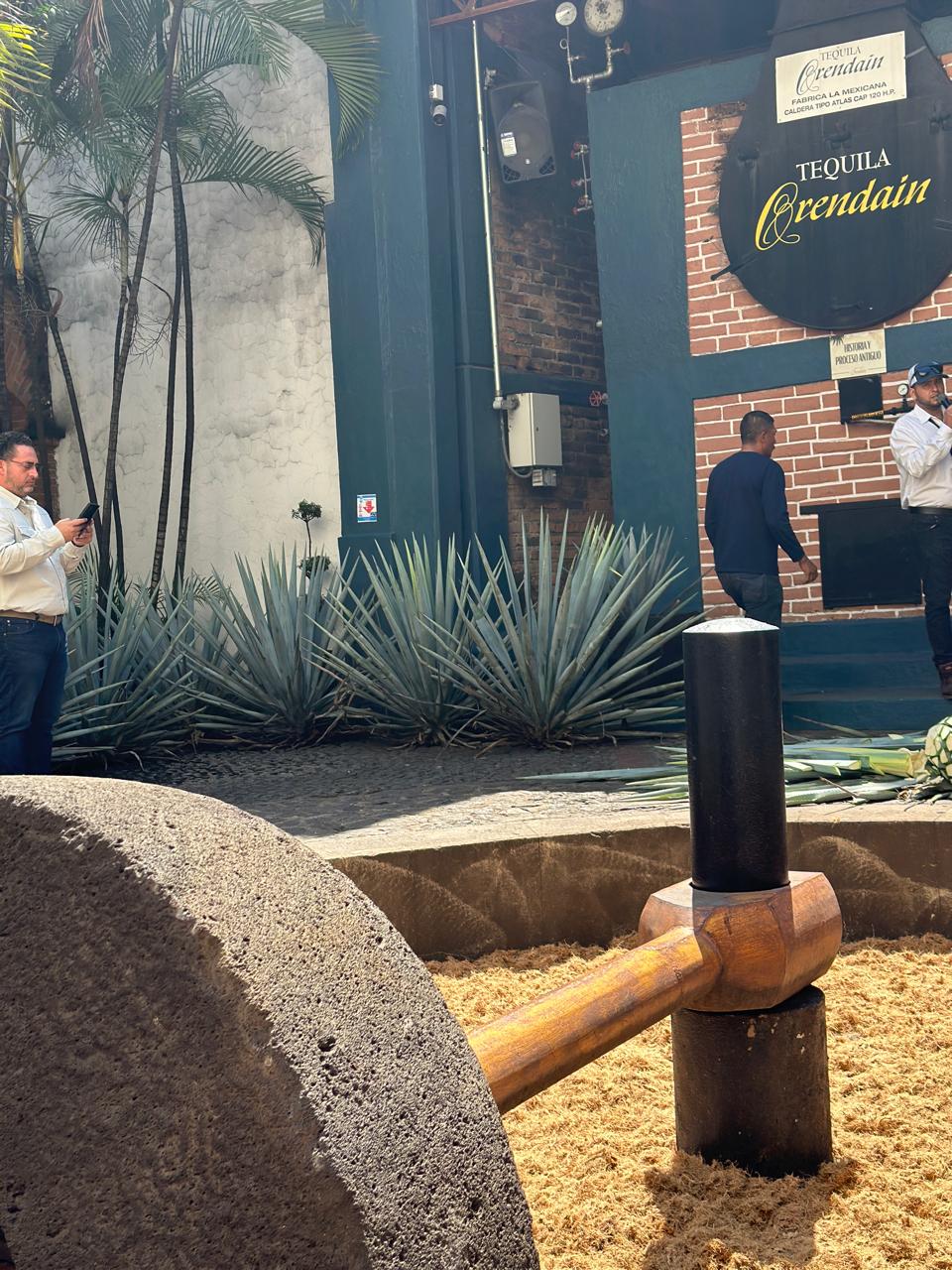 The 15 Most Renowned Artisanal Tequilas from Mexico 2026 Guide