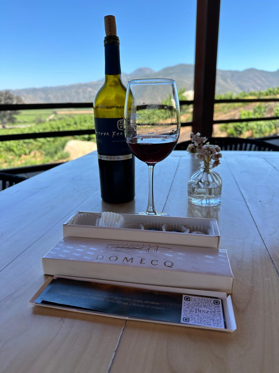Pedro Domecq winery in Mexico