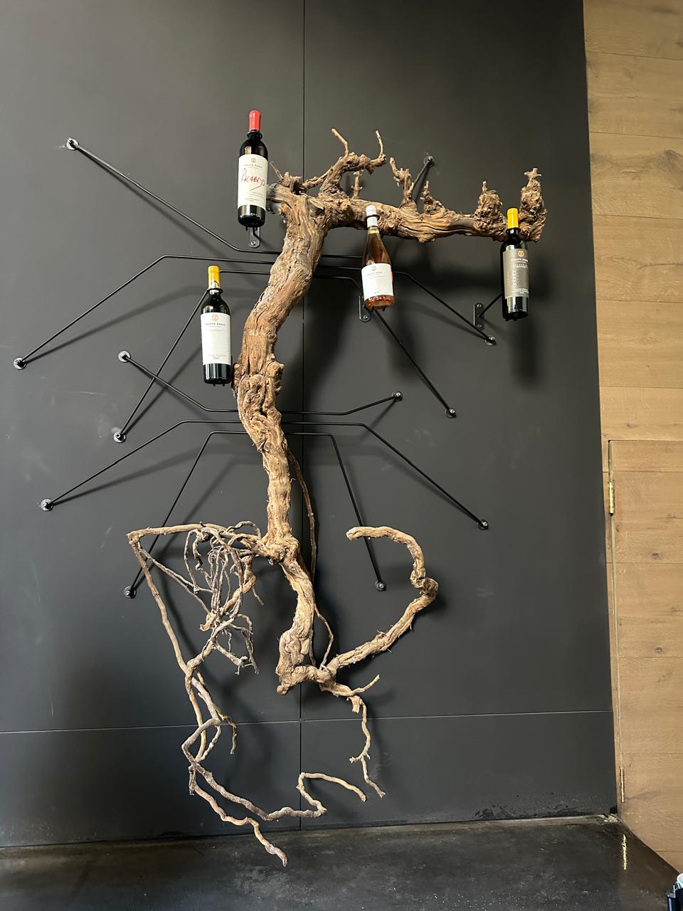 Roots Monte Xanic